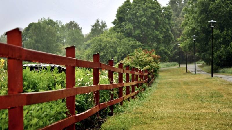 Infidelity: Is the grass REALLY greener?